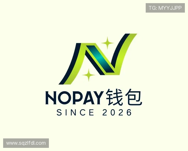 了解NOPAY钱包