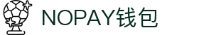 NOPAY钱包 - 数字钱包支付平台|安全便捷的移动支付